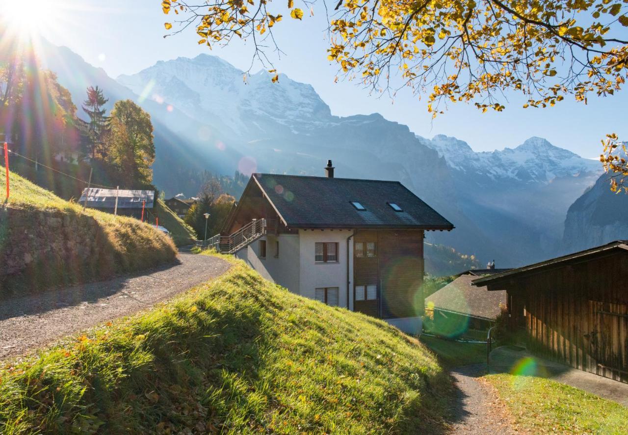 Chalet Rose Penthouse Βένγκεν Εξωτερικό φωτογραφία